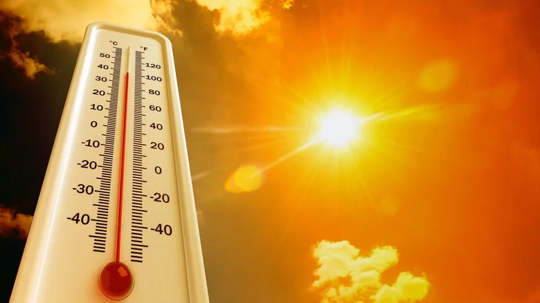 67d4ee51a4430ed04362033543954dd2_its-the-heat-1744227012