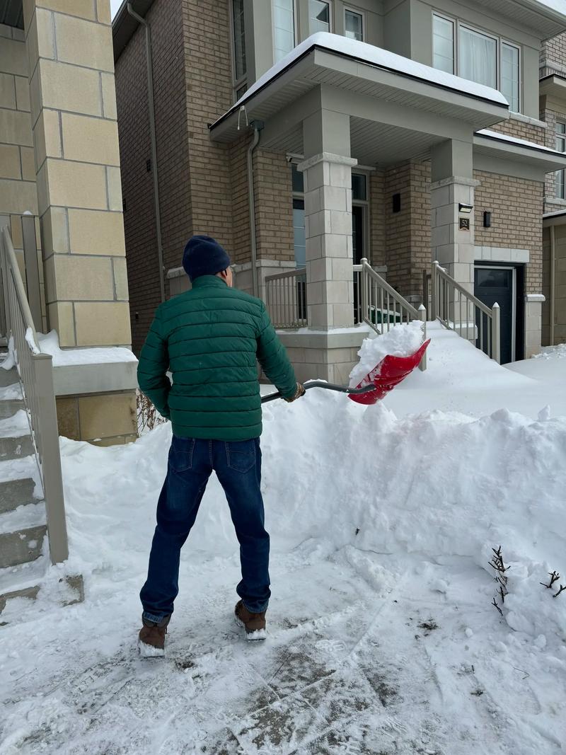 u=344071231,3537271835&fm=253&app=138&f=JPEG