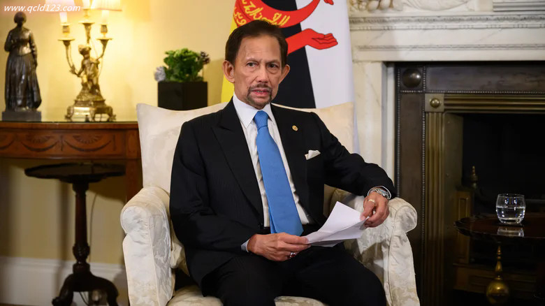 文莱苏丹 文莱苏丹