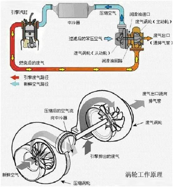 老司机揭秘带套爽还是顺其自然爽？