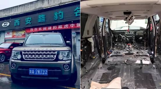 毁了一辆百万豪车！汽车进了老鼠怎么办？