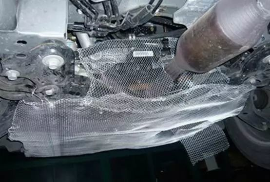 毁了一辆百万豪车！汽车进了老鼠怎么办？