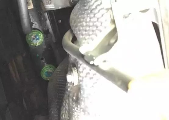 毁了一辆百万豪车！汽车进了老鼠怎么办？
