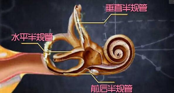 为啥开车不晕坐车晕？坐在这个位置最容易晕车