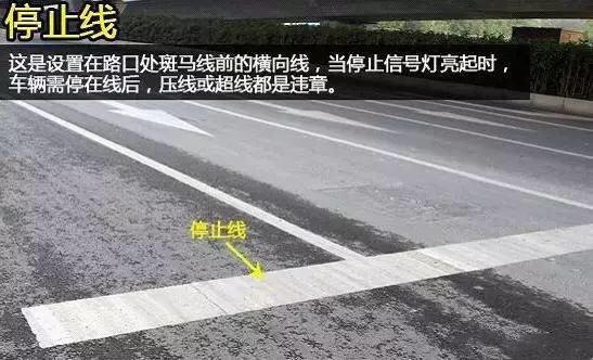 史上最全的路面标志线 看完你就是老司机！