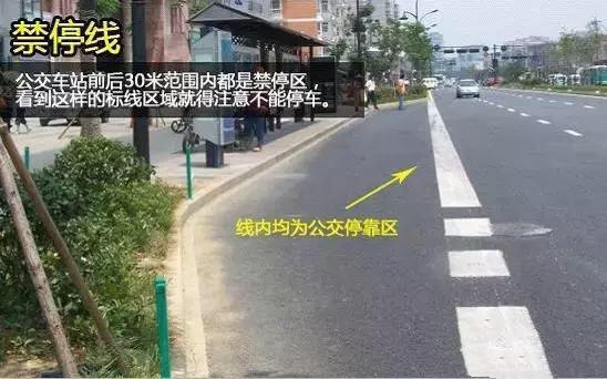 史上最全的路面标志线 看完你就是老司机！